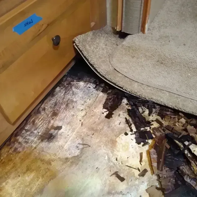 Wood Floor Water Damage in Hamilton County, OH